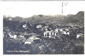 Montagnola