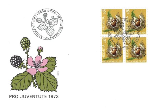 Busta primo giorno Pro Juventute 1973 Svizzera Castagna Busta primo giorno Pro Juventute 1973 Svizzera francobolli 15+5 cts Castagna