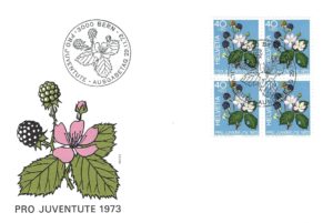 Busta primo giorno Pro Juventute 1973 Svizzera francobolli 40+20 cts Mora