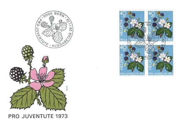 Busta primo giorno Pro Juventute 1973 Svizzera Mora Busta primo giorno Pro Juventute 1973 Svizzera francobolli 40+20 cts Mora