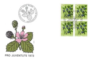 Busta primo giorno Pro Juventute 1973 Svizzera francobolli 60+20 cts Mirtilli